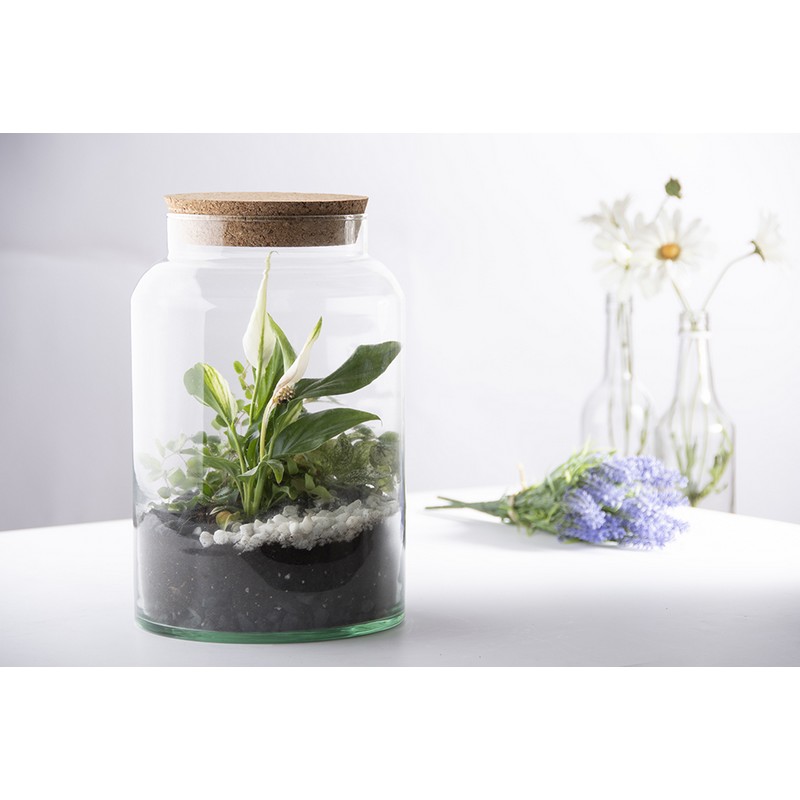 Esschert Design Half open terrarium fles M - Afbeelding 3