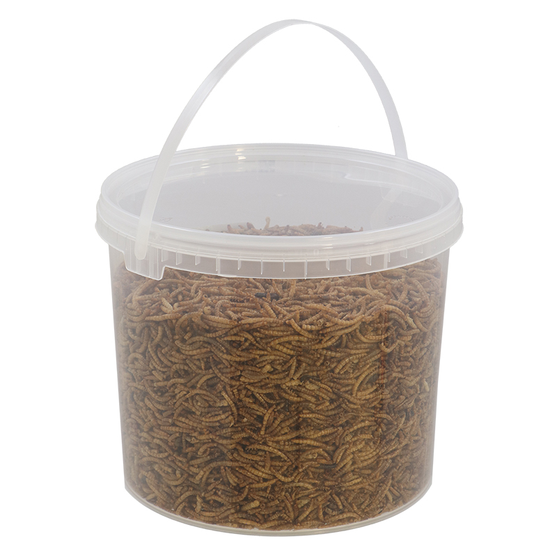 Esschert Design Gedroogde meelwormen 0,7 kg in emmer - Afbeelding 5