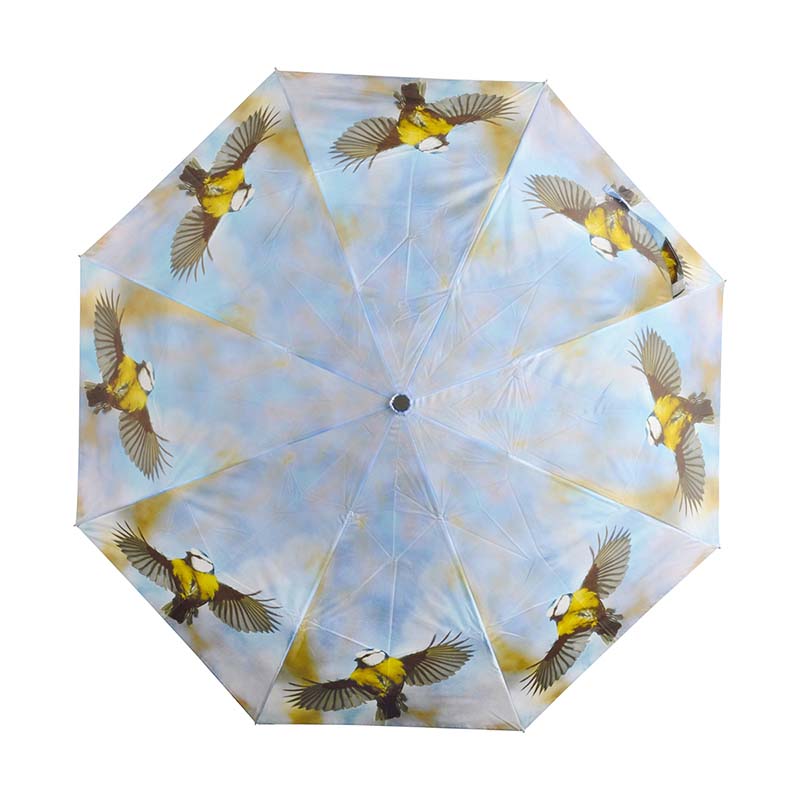 Esschert Design Opvouwbare paraplu keuze - Afbeelding 4