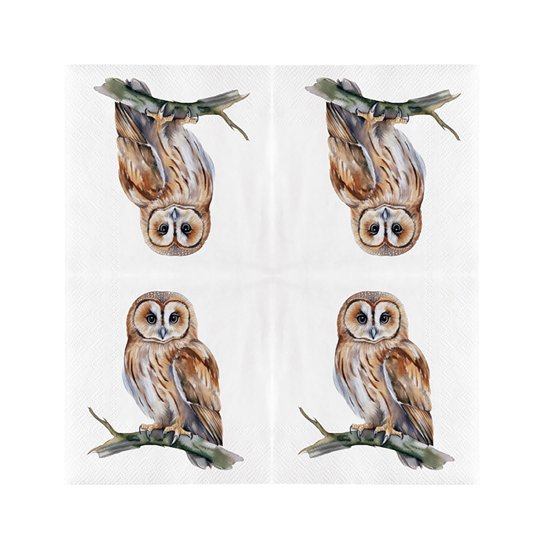 Esschert Design Papieren servetten uil 33 x 33 cm